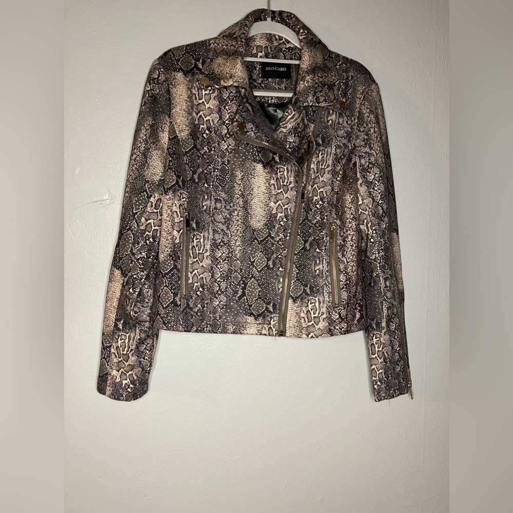 Dolce Cabo‎ snake print moto jacket